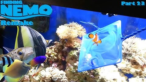 Finding Nemo: The Live Action Remake (Part 23)