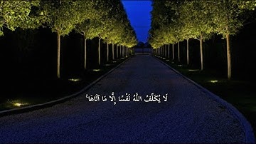 سورة الطلاق | 7 | القارئ : #شريف_مصطفى  #foryou #quran #viral #اجر_لي_ولكم