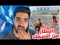 هاذي المدينة نزل عليها مطر من السمك شي مرعب | سبحان الله 😨!!!