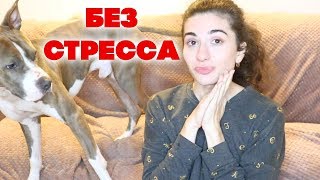 пора перестать ныть и начать жить жизнью своей мечты! и вот как: