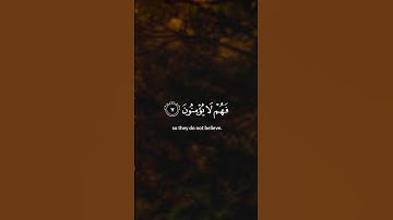 ما تيسر من سورة ياسين #المصحف #الرحمن #راحة_نفسية