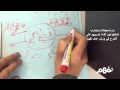 ما معنى النظام السياسي من مساهمات وتجارب المتطوعين في ورش عمل نفهم نفهم ما معنى النظام السياسي من مساهمات وتجارب المتطوعين في ورش عمل نفهم نفهم
