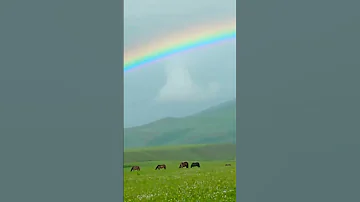 #rainbow