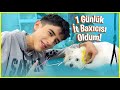 BİR GÜNLÜK İT BAXICISI OLDUM!!