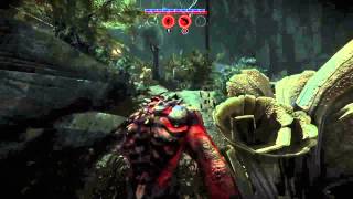 Evolve voodoo skin goliath gameplay