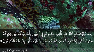 الصفحة 550 سورة الممتحنة بصوت القارئ المهندس أحمد فايز الحراسيس