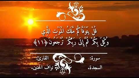 القارئ نواف الحنين
