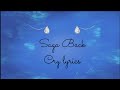 Saga back  cry lyrics