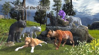 Cats of the Forest Android Gameplay HD #2 screenshot 1