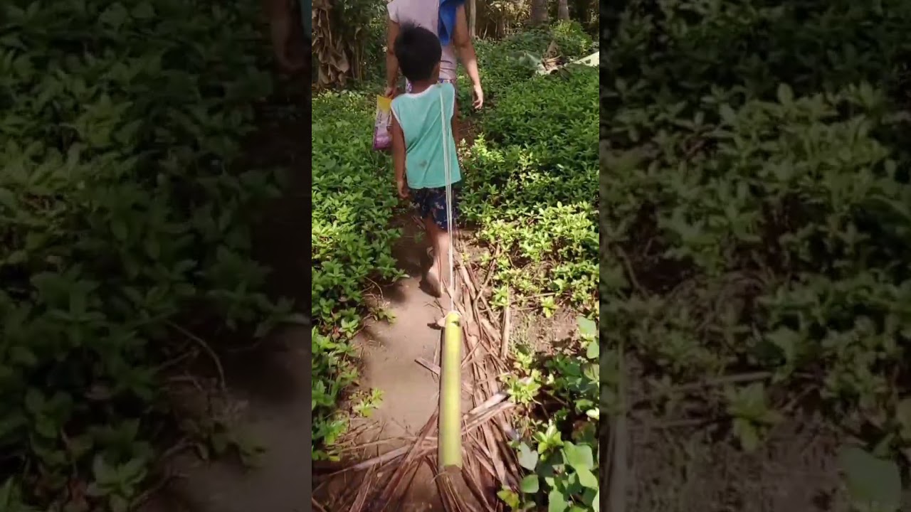 larong kalabaw-kalabawan 