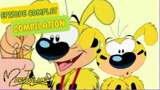 Marsupilami le grand sportif   | Compilation | Marsupilami en Français