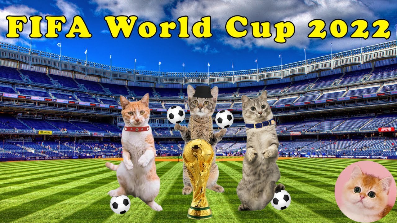 FIFA World Cup 2022 Song 