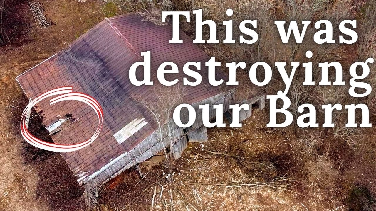Fixing BIG hole in the Barn roof using RECLAIMED materials - Day 4