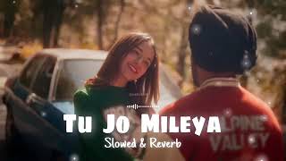 tu jo mileya slowed $ Reverb song # Punjabi song # like # subscribe # video forward