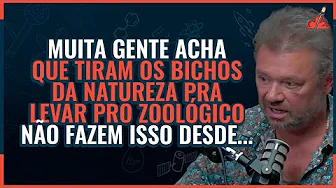 imagem do youtube
