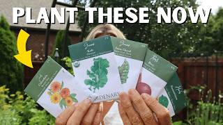 6 Plants You MUST Start In August (No Matter Where You Live)