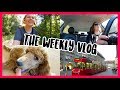 Hiking shopping working training weekly vlog