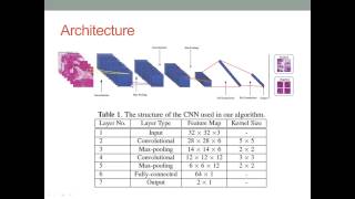 Pattern Recognition Final Report Presentation Net Worth
