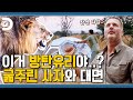 부서지면 요단강👼 런문가 조 형의 사자 밀착취재🦁 [포식동물 관찰기]