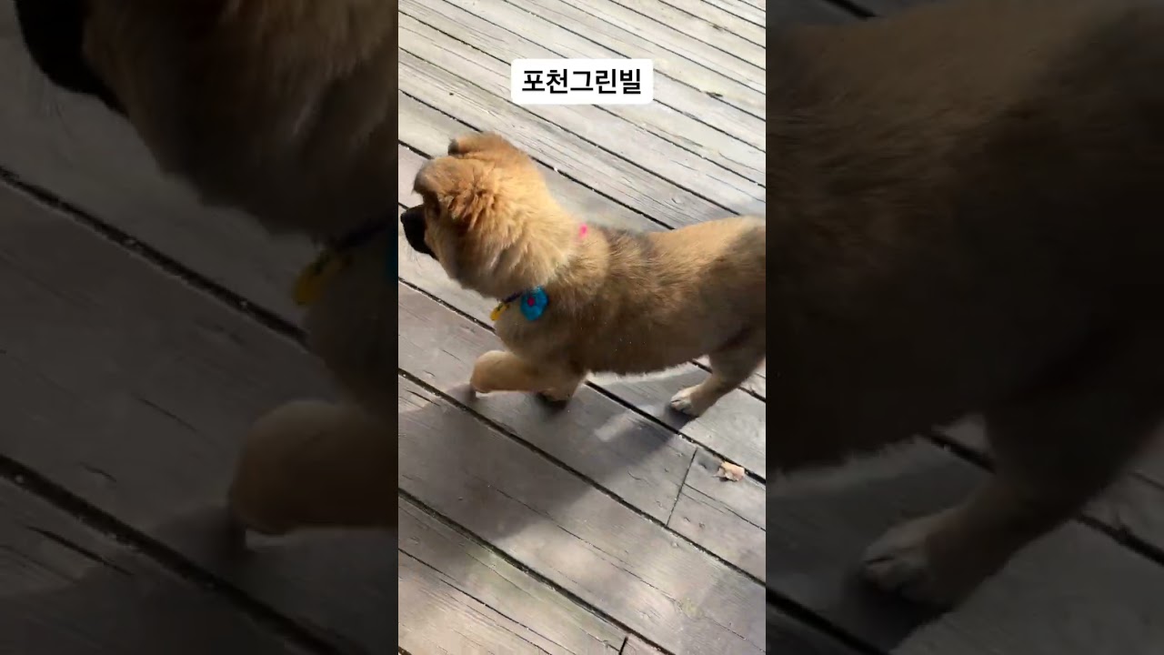 포천그린빌