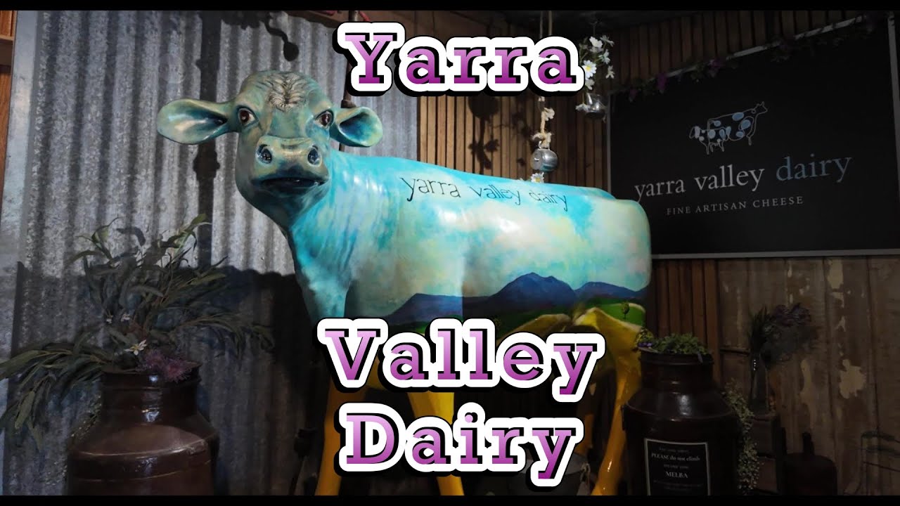 Yarra Valley Dairy VIC, so much local produce here