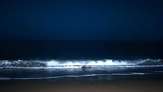Deep Rest Ocean Ambience 🌊 Soothing Wave Patterns for Peaceful Sleep