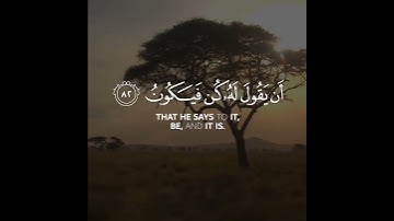سورة يس | القارئ شريف مصطفى