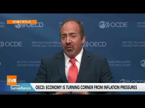 [부자들의 투자노트] <strong>OECD</strong> 이코노미스트 &amp;quot;美 경제 매우 견고해&amp;quot;투자
