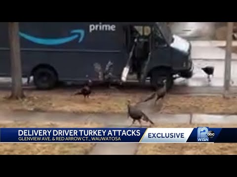 Turkey takeover of Wauwatosa no laughing matter for delivery drivers