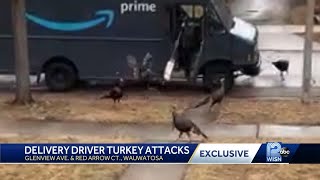 Turkey Takeover Of Wauwatosa No Laughing Matter For Delivery Drivers