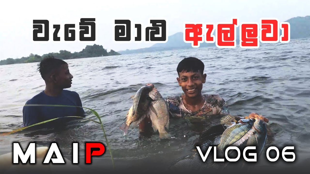 රස වෑහෙන කොරලි මාලු අල්ලන්න ගිය ගමන  | Wahalkada Wewa Fishing Trip 2025 In Sri Lanka