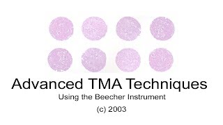 TMA Advanced Techniques Using the Beecher Instrument 2003
