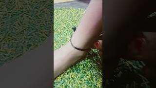 #kala dhaga pahnane se kya hota hai