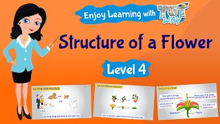 Structure of a Flower | Science | Grade-3,4 | Tutway |