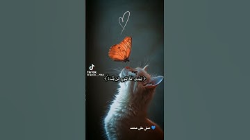 يهدي الله لنوره من يشاء /عبد الله مصطفى/القارئ الكفيف/سورة النور قران كريم #قران_كريم #سورة_النور