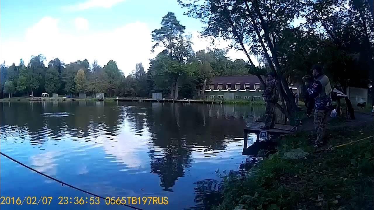 Рыбалка в ольгово савельево. Ольгово платная рыбалка. Ольгово платная рыбалка. Савельево 3 ольгово. Ольгово 3 платная рыбалка.