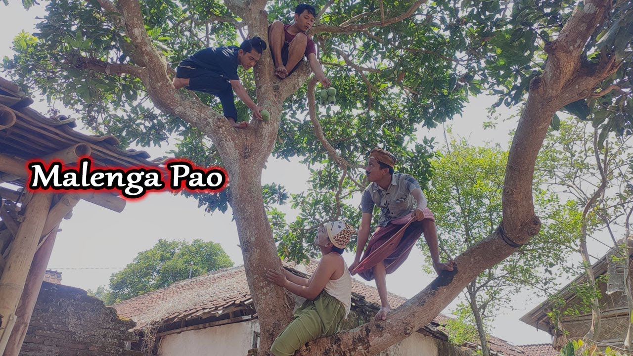 MALING MANGGA || KOMEDI MADURA