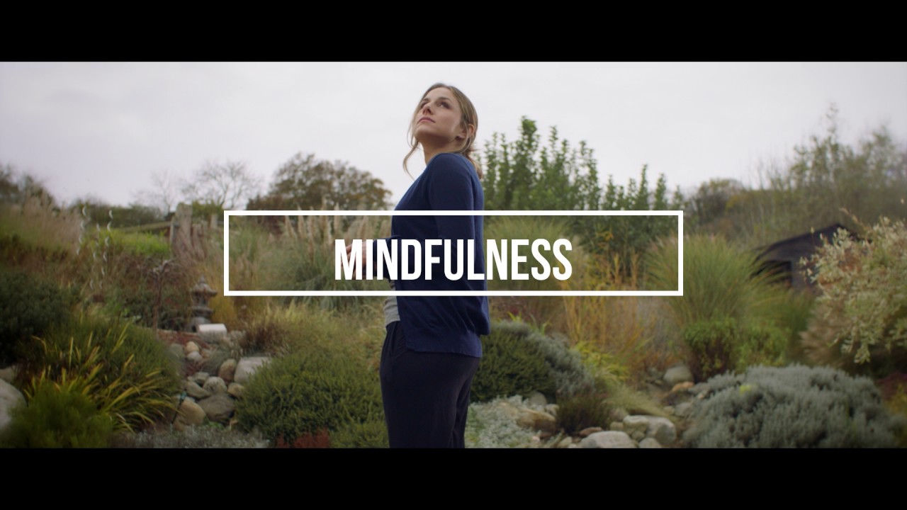 The Happiness Planner Brand video (US)