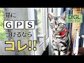 【スマートタグ・D!GL】猫にGPSつけるならコレ！