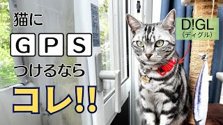 【スマートタグ・D!GL】猫にGPSつけるならコレ！