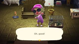 Getting the last cockroach in Animal Crossing: New Horizons after not playing for awhile screenshot 4