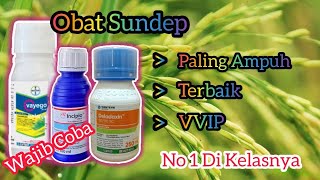 3 Obat Sundep Sistemik Paling Ampuh Dan Terbaik Untuk Tanaman Padi.