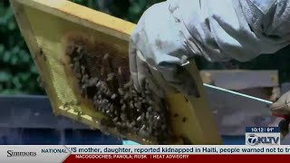 Excessive heat in East Texas limits food sources for bees