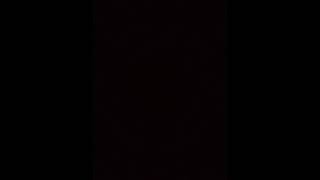 Dr Bricht Transformation Tf Tg Audio