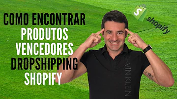 Qual melhor nicho para dropshipping?