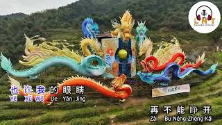 血染的风采   Xue Ran De Feng Cai - 王虹   Wang Hong ( karaoke )