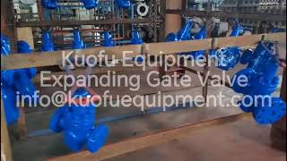 Kuofu Equipment API 6A Expanding Gate Valve