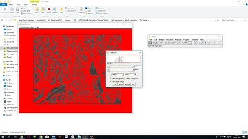 Guide to MatLab and ImageJ AFM image processing