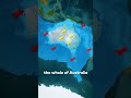 🇦🇺 Why Australia Doesn’t Experience Any Earthquake  🌍❓ Mp3 Song