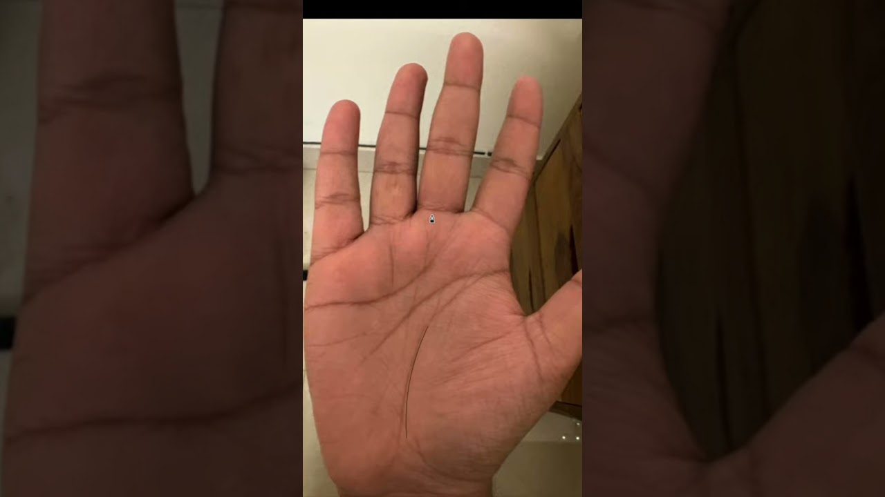 Привлекательные пальмы! Свяжитесь со мной по номеру 8951568344, чтобы узнать больше!